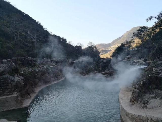 银河中动物逃生